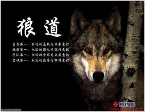 驯服狼有什么用_我的世界怎么驯服狼_狼的驯化
