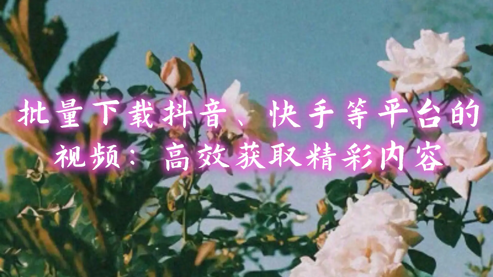 磁力资源搜索助手_bt樱桃磁力搜索_助手磁力搜索资源怎么用