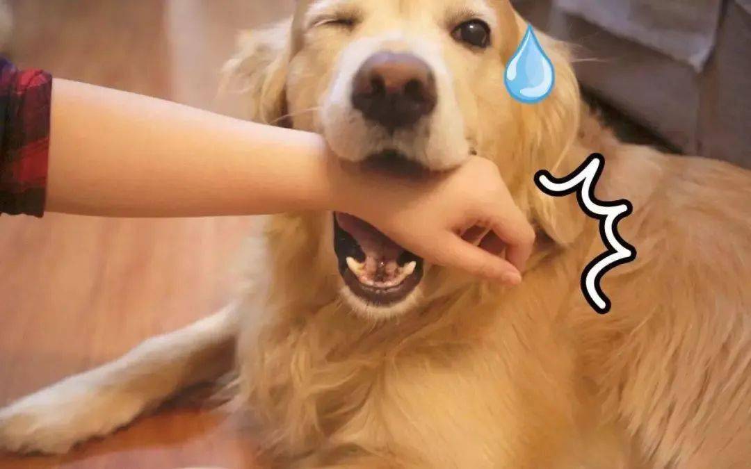 微信中的提醒功能是什么意思_微信中提醒功能是干嘛的_微信里的提醒功能是干什么用的