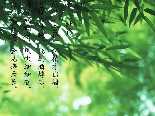 奇米视频7777_奇米视频7777_奇米视频7777