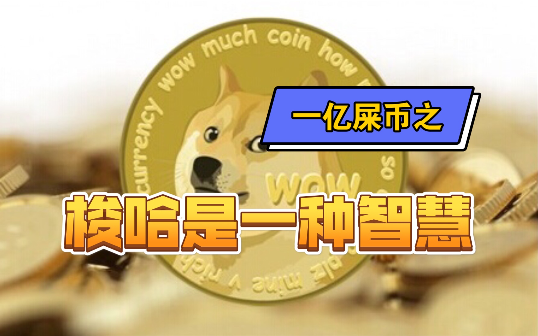 屎币最新价格今日行情_屎币今日最新价格_屎币