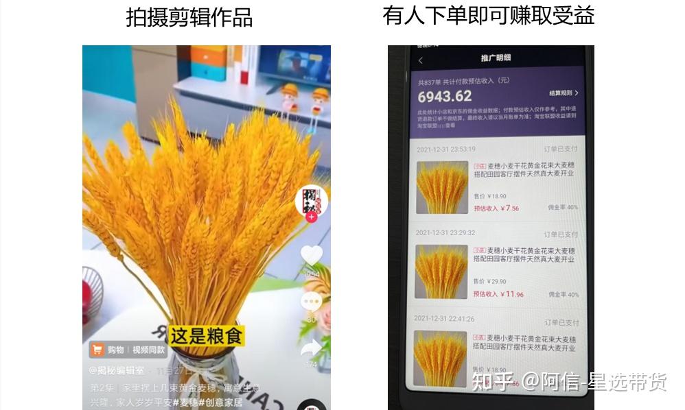 发抖音变现_抖音变现平台叫什么_抖音变现